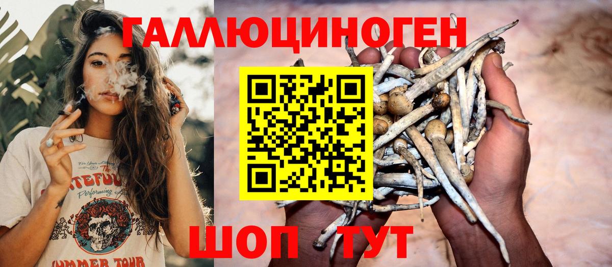 Псилоцибиновые грибы Psilocybine cubensis  Галлюциногенные грибы Cubensis  Вход с VPN  Надым 