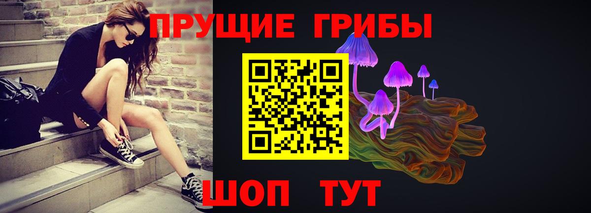 A PVP Надым